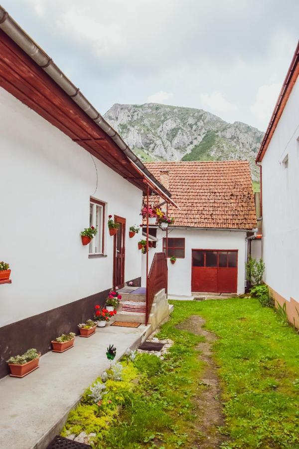 Casa De Vacanta Harsfa Vendeghaz Риметеа Екстериор снимка